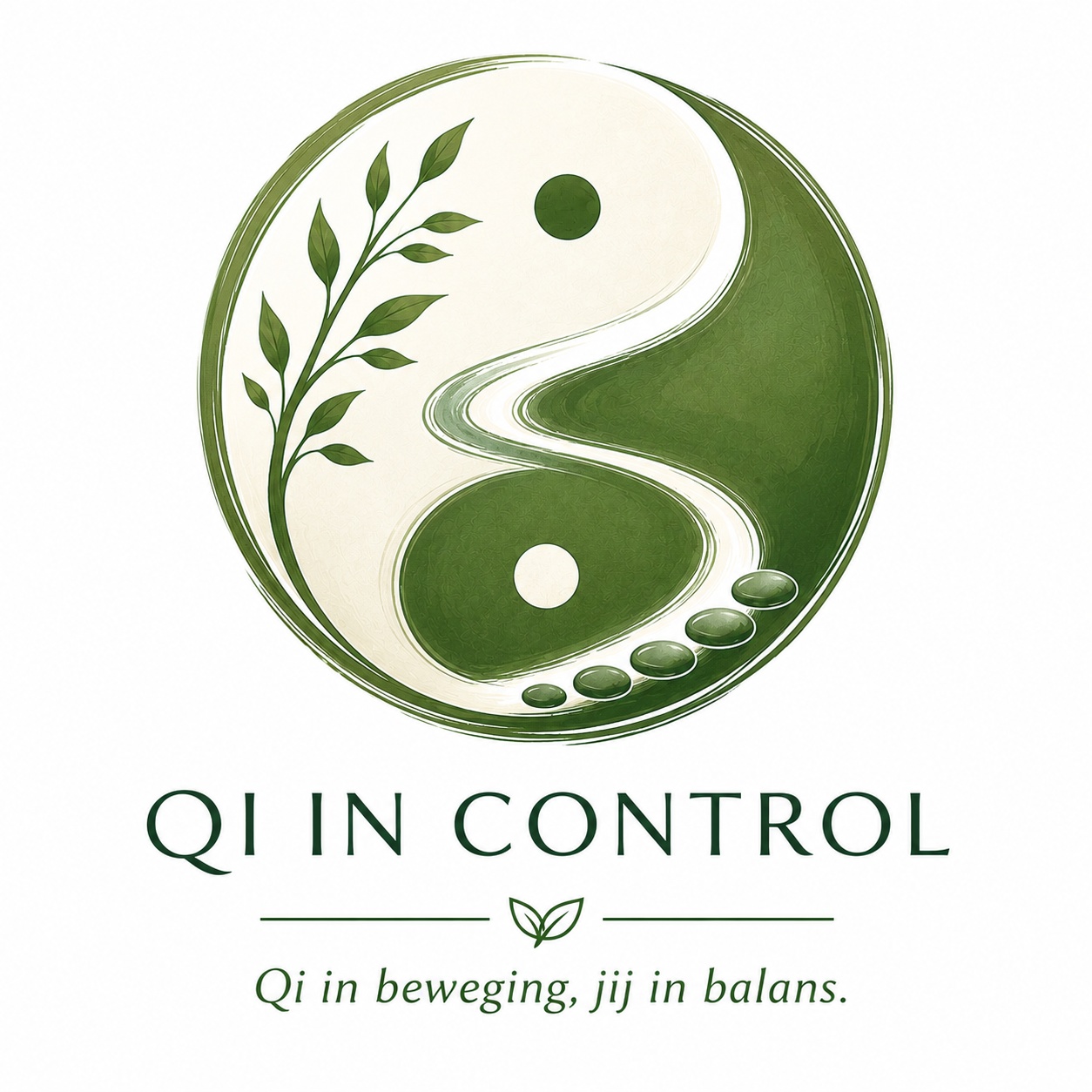 Qi_in_Control_logo